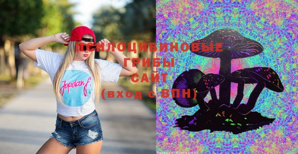 таблы Бородино